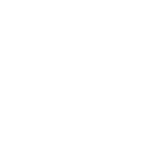Chint Logo